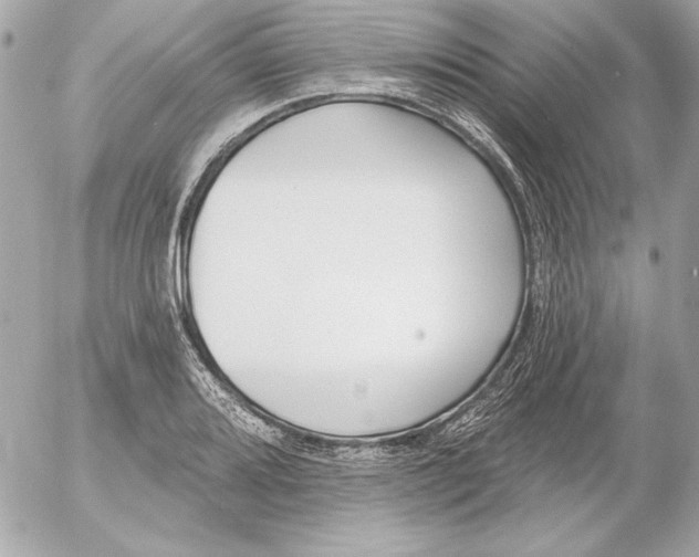 X0000054441080200508191605