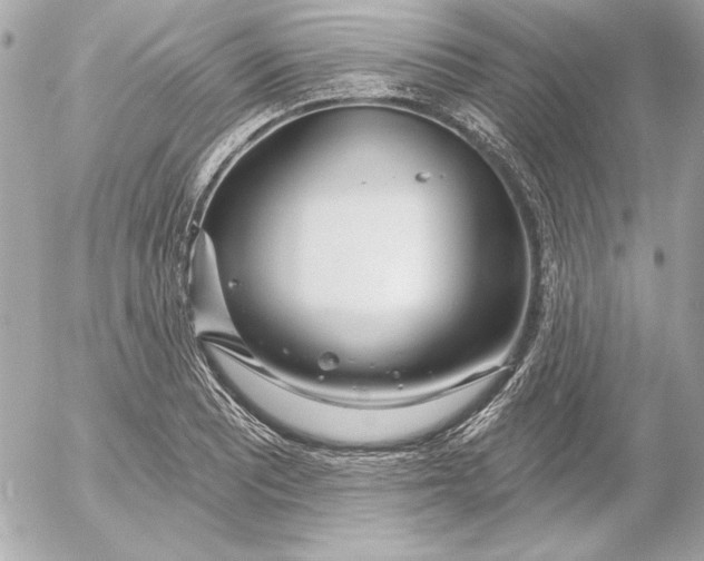 X0000054441081200508191605