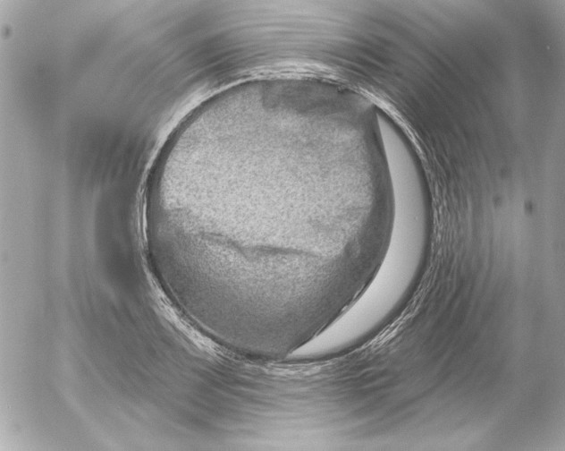 X0000054441083200508191605