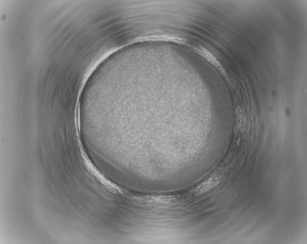 X0000054441084200508191605