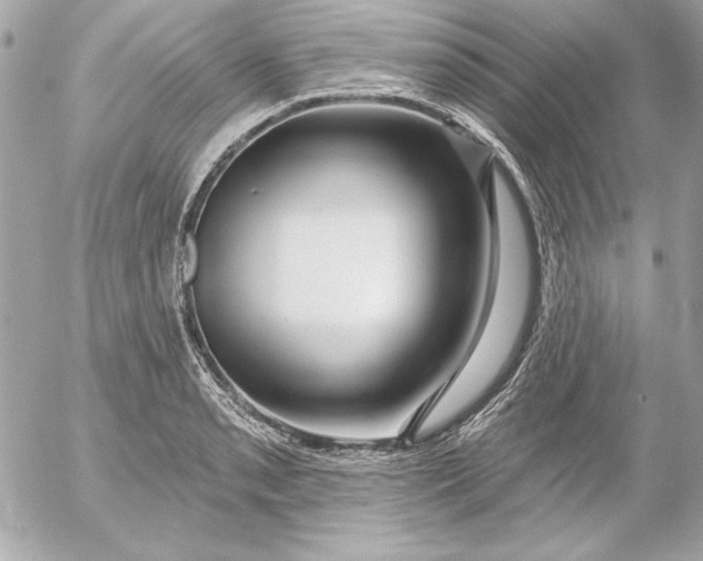 X0000054441085200508191605