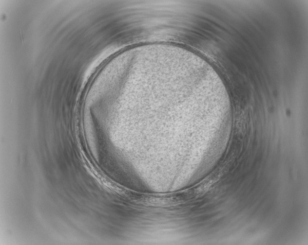 X0000054441086200508191605