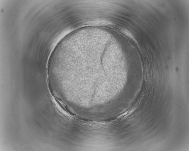 X0000054441087200508191605