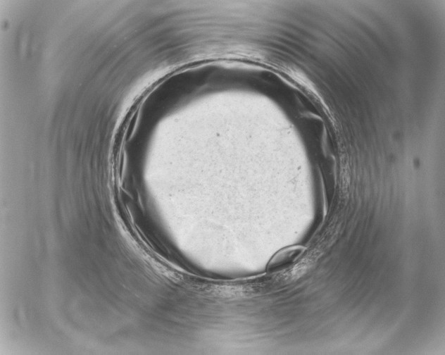 X0000054441088200508191605