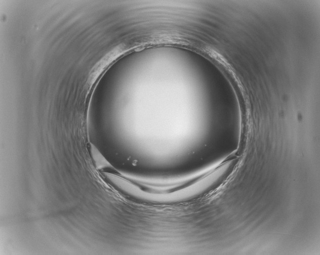 X0000054441089200508191605