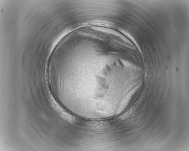 X0000054441091200508191605