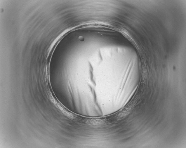 X0000054441092200508191605