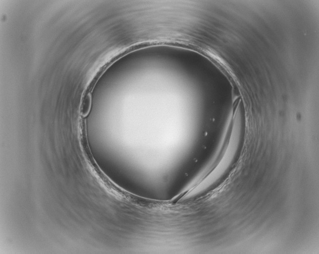 X0000054441093200508191605