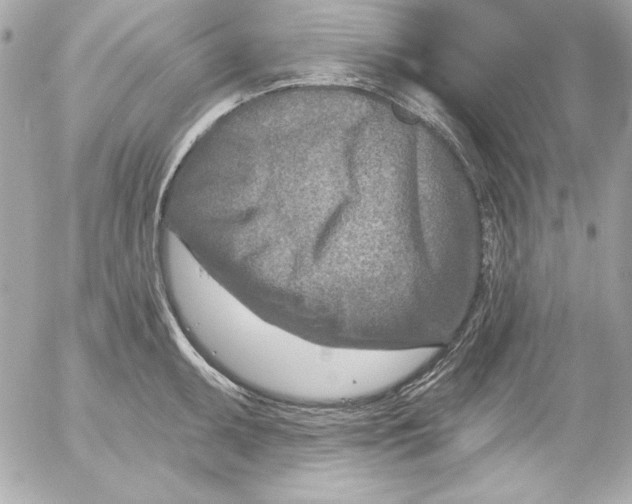 X0000054441095200508191605