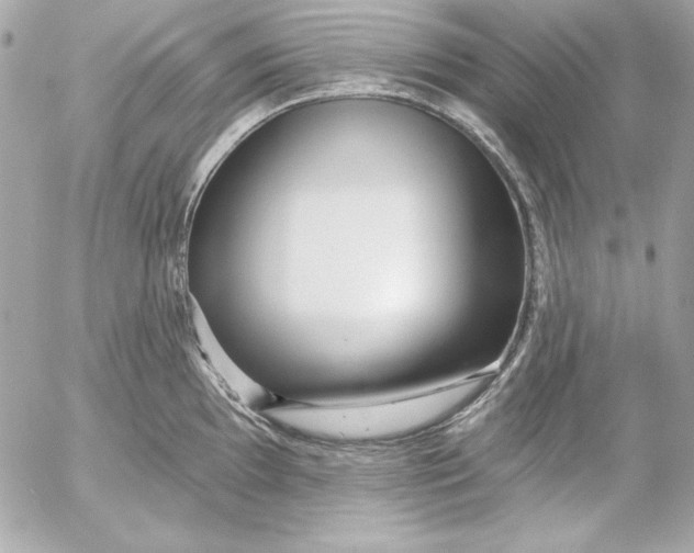 X0000054441097200508191605