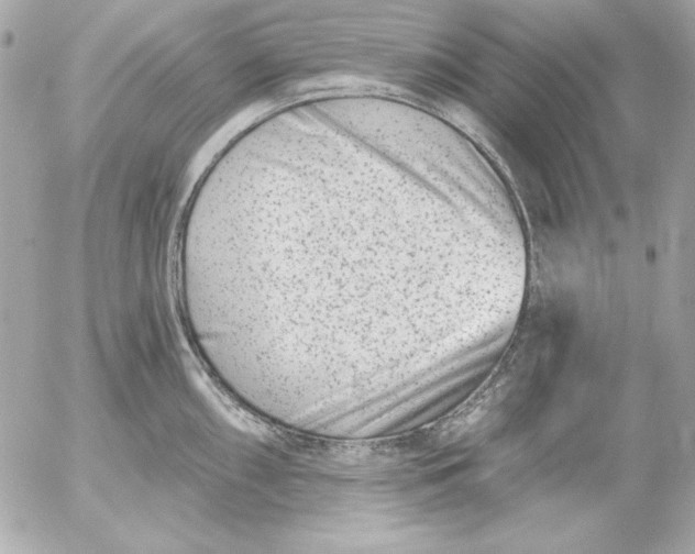 X0000054441098200508191605