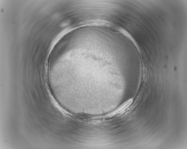 X0000054441099200508191605