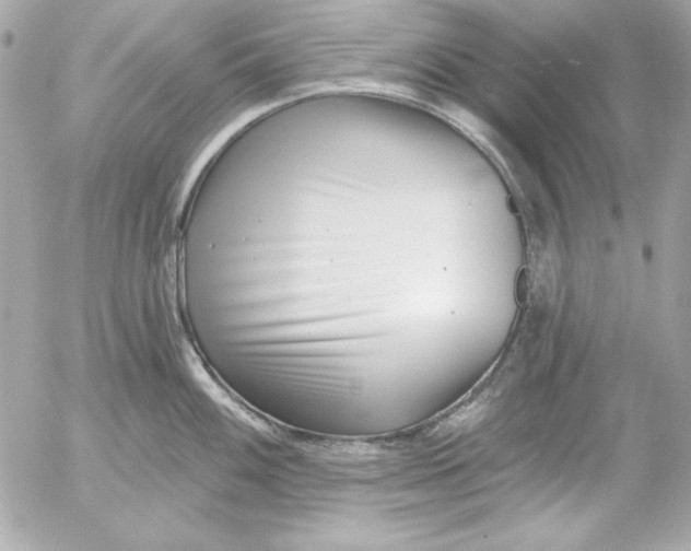 X0000054441100200508191605