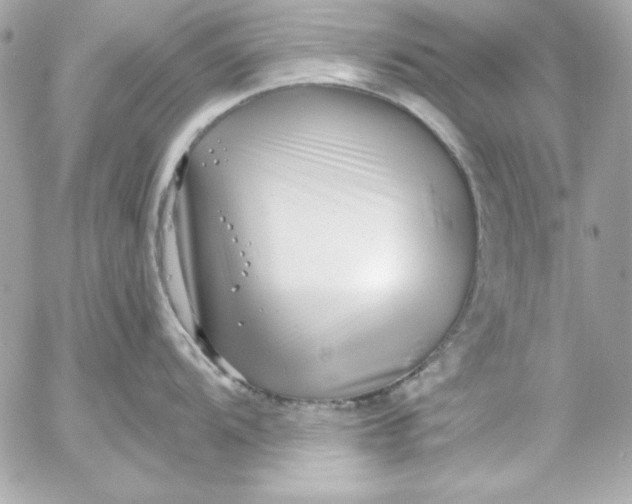 X0000054441104200508191605