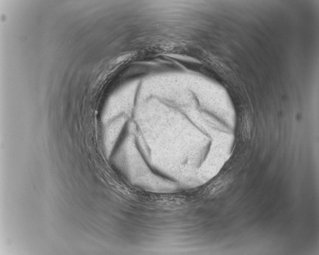 X0000054441105200508191604