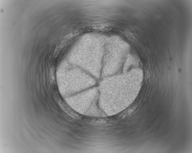 X0000054441106200508191604