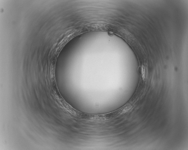 X0000054441107200508191604