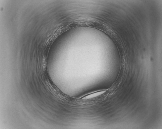 X0000054441108200508191604