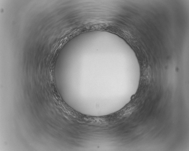 X0000054441109200508191604