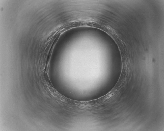 X0000054441110200508191604