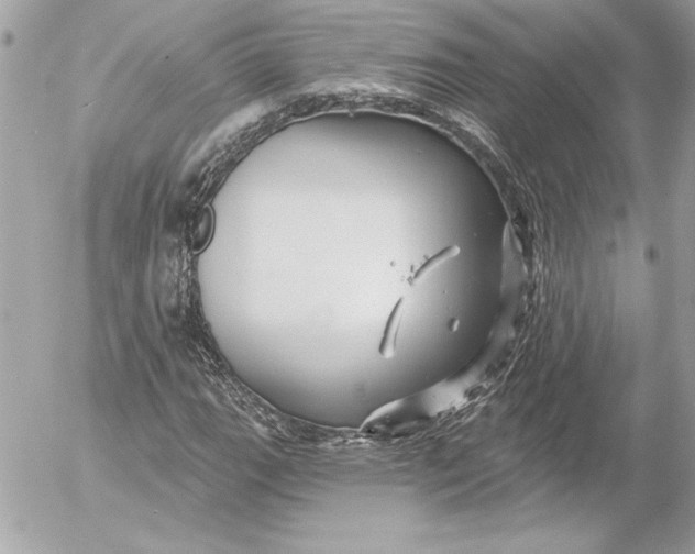 X0000054441111200508191604