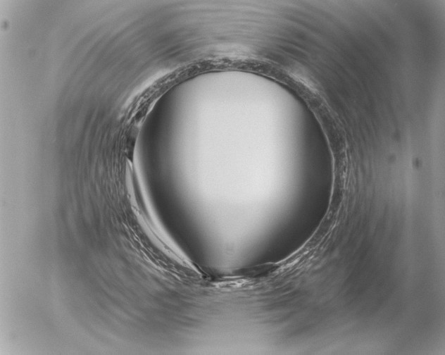 X0000054441112200508191604