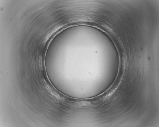 X0000054441113200508191604