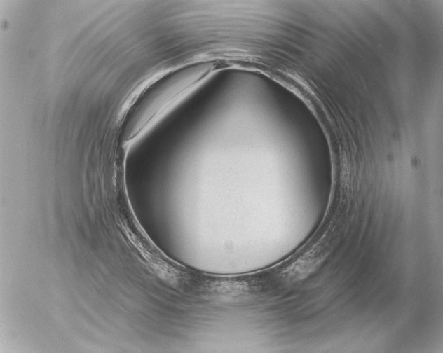 X0000054441115200508191604