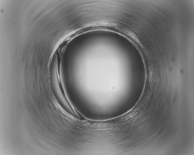 X0000054441116200508191604