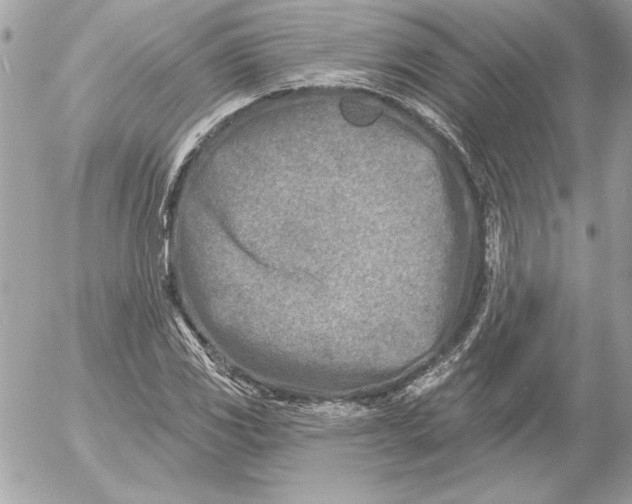 X0000054441117200508191604