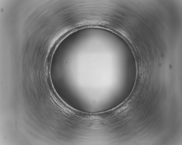 X0000054441119200508191604