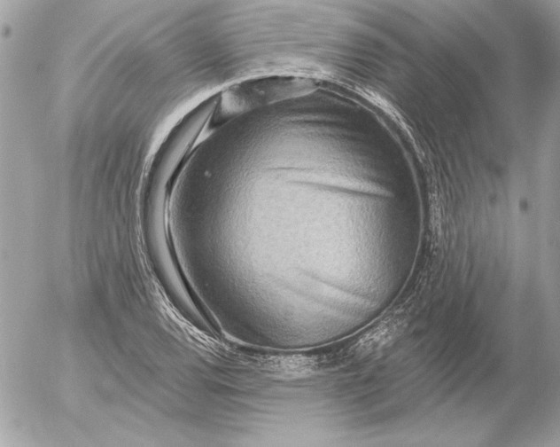 X0000054441120200508191604