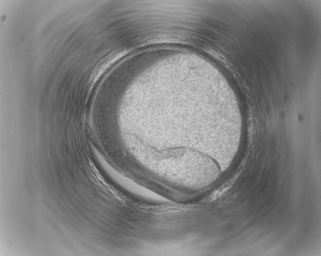 X0000054441121200508191604