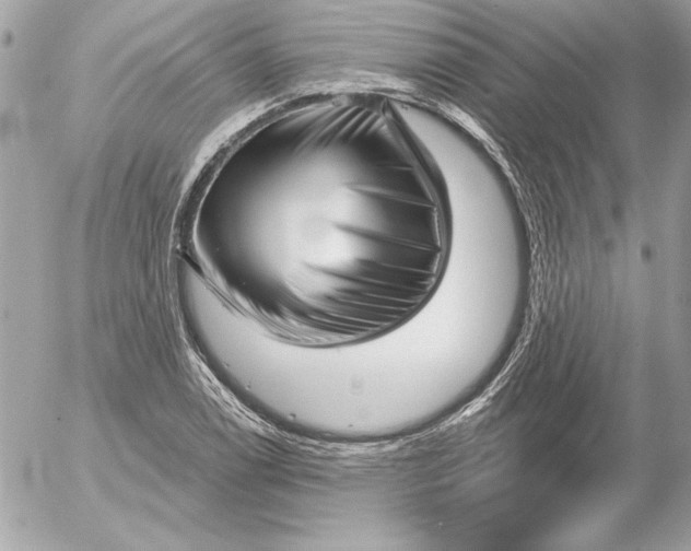 X0000054441122200508191604