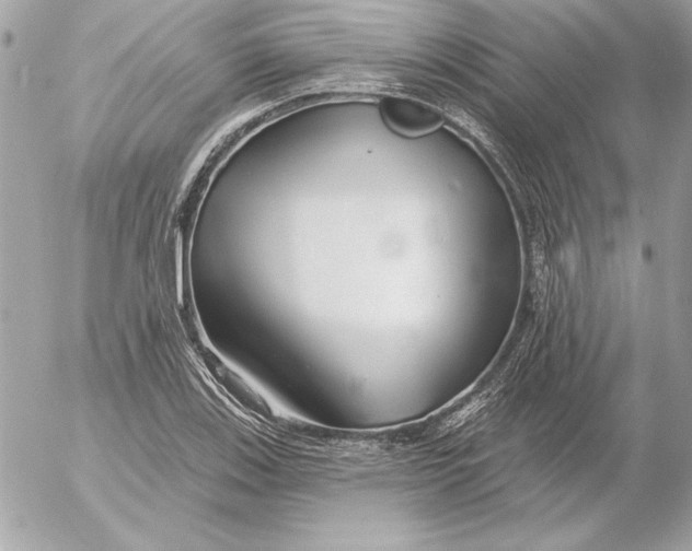 X0000054441123200508191604