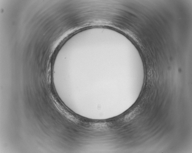 X0000054441126200508191604