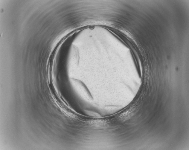 X0000054441127200508191604