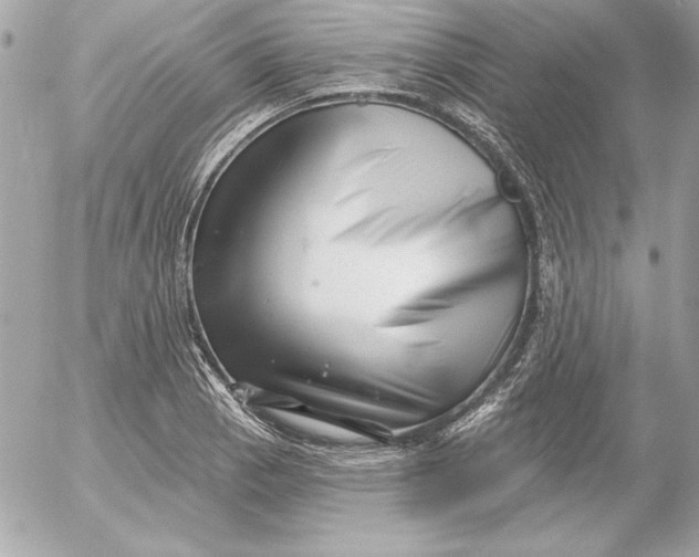 X0000054441129200508191604