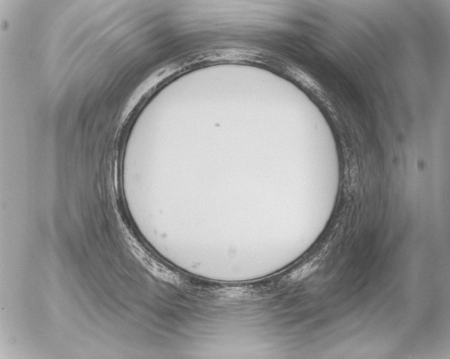 X0000054441130200508191604