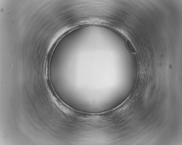 X0000054441131200508191604