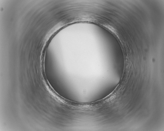 X0000054441135200508191604