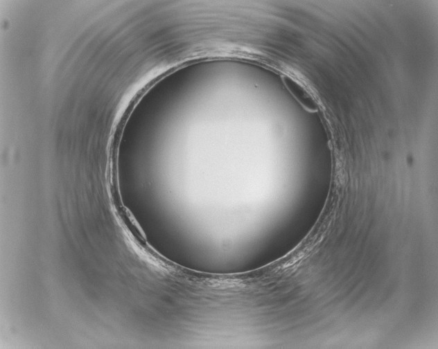 X0000054441136200508191604