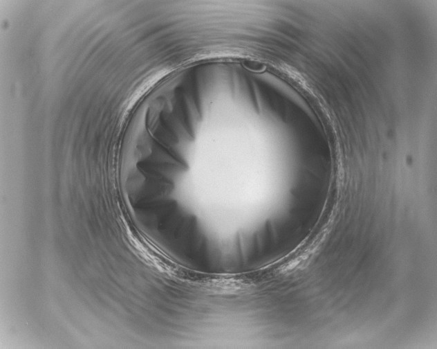 X0000054441137200508191604