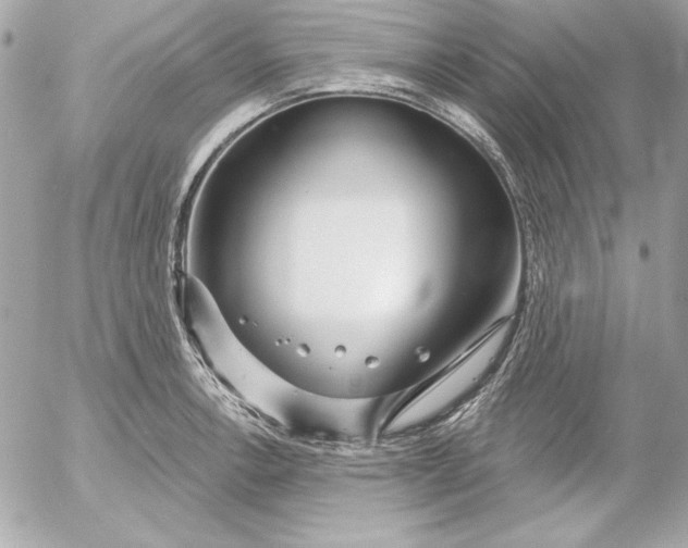 X0000054441138200508191604