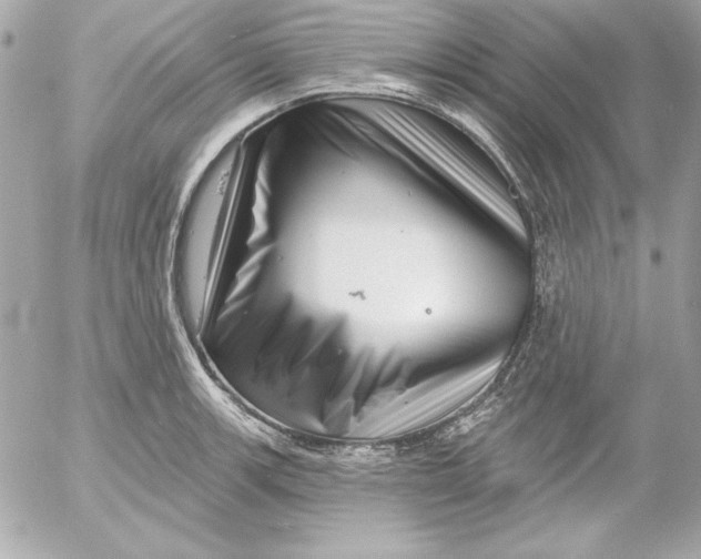 X0000054441139200508191604