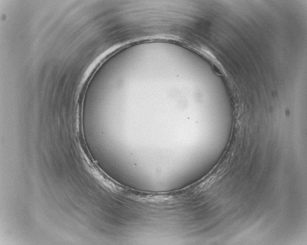 X0000054441140200508191604