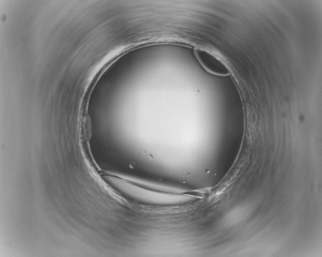 X0000054441142200508191604