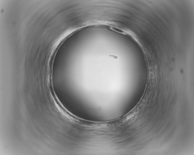 X0000054441143200508191604