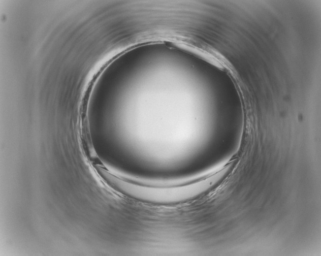 X0000054441144200508191604