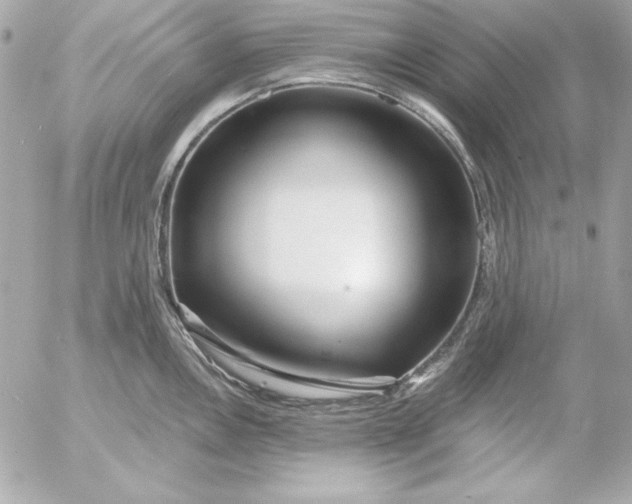 X0000054441146200508191604